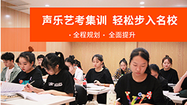 藝考音樂培訓(xùn)班